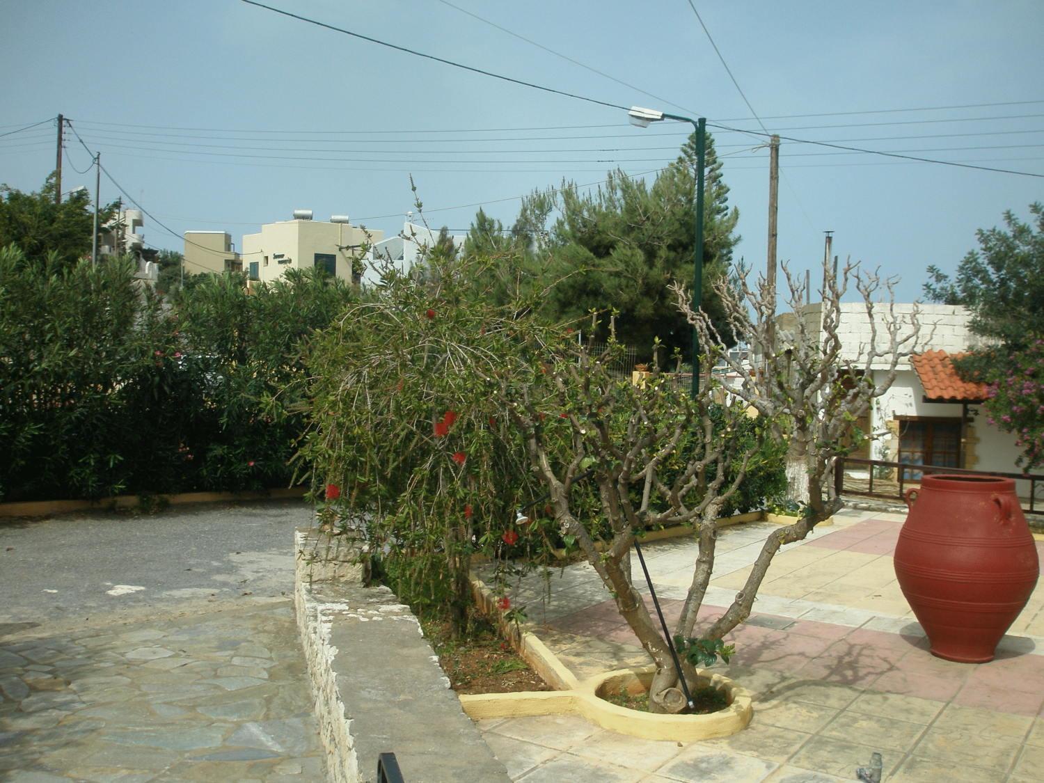 Diamond Beach Apts & Studios Stalida Exterior foto